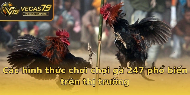Các hình thức chơi chọi gà 247 phổ biến trên thị trường