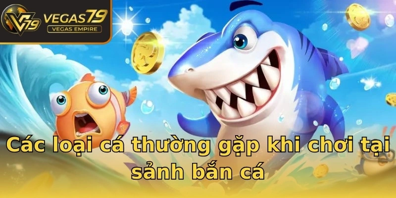 Các loại cá thường gặp khi chơi tại sảnh bắn cá