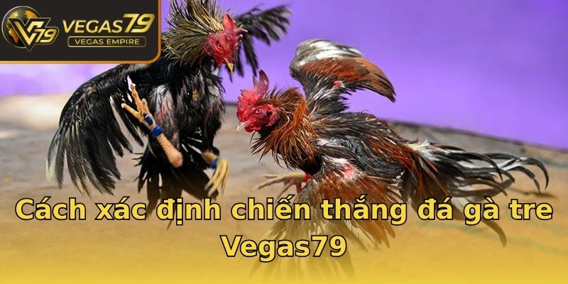 Cách xác định chiến thắng đá gà tre Vegas79