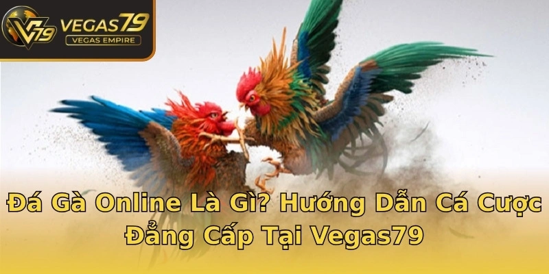 Đá Gà Online Là Gì? Hướng Dẫn Cá Cược Đẳng Cấp Tại Vegas79