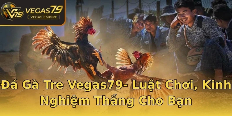 Đá Gà Tre Vegas79- Luật Chơi, Kinh Nghiệm Thắng Cho Bạn