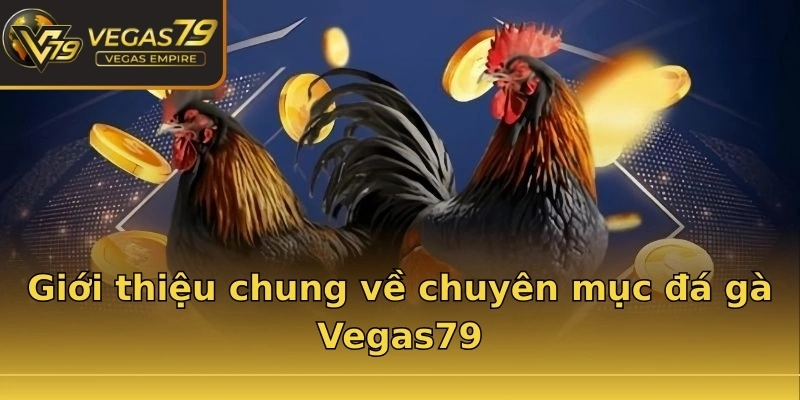 Giới thiệu chung về chuyên mục đá gà Vegas79