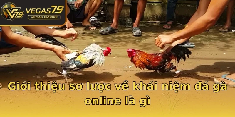 Giới thiệu sơ lược về khái niệm đá gà online là gì