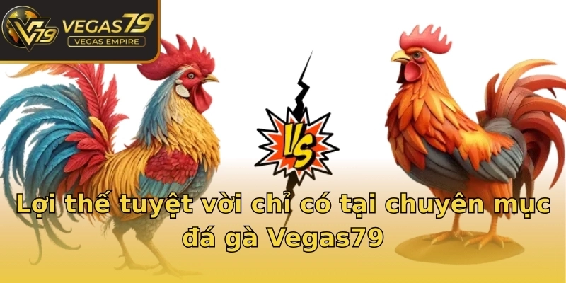 Lợi thế tuyệt vời chỉ có tại chuyên mục đá gà Vegas79