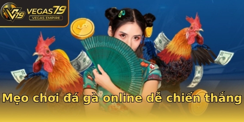 Mẹo chơi đá gà online dễ chiến thắng