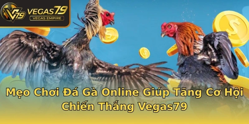 Mẹo Chơi Đá Gà Online Giúp Tăng Cơ Hội Chiến Thắng Vegas79
