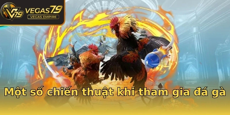 Một số chiến thuật khi tham gia đá gà