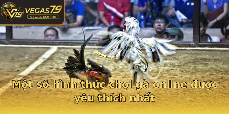 Một số hình thức chọi gà online được yêu thích nhất
