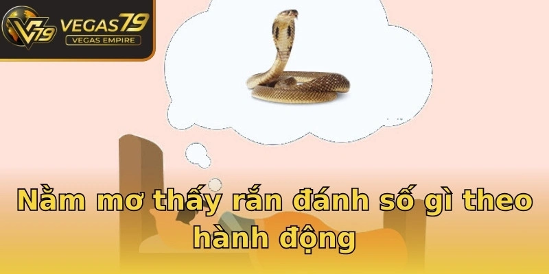 Nằm mơ thấy rắn đánh số gì theo hành động