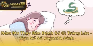 Nằm Mơ Thấy Rắn Đánh Số Gì Trúng Lớn - Tips Xổ Số Vegas79 Đỉnh