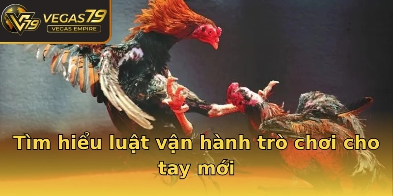 Tìm hiểu luật vận hành trò chơi cho tay mới