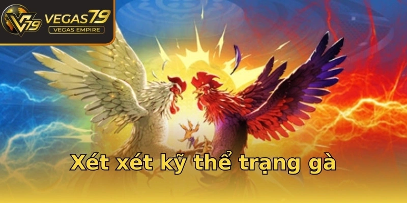 Xét xét kỹ thể trạng gà